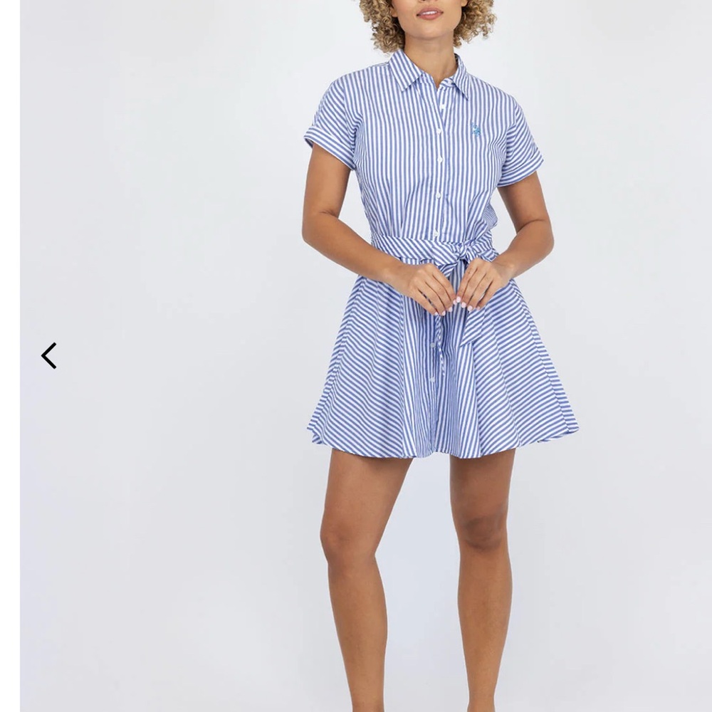 U.S. Polo Assn. Blue and White Striped Mini Dress